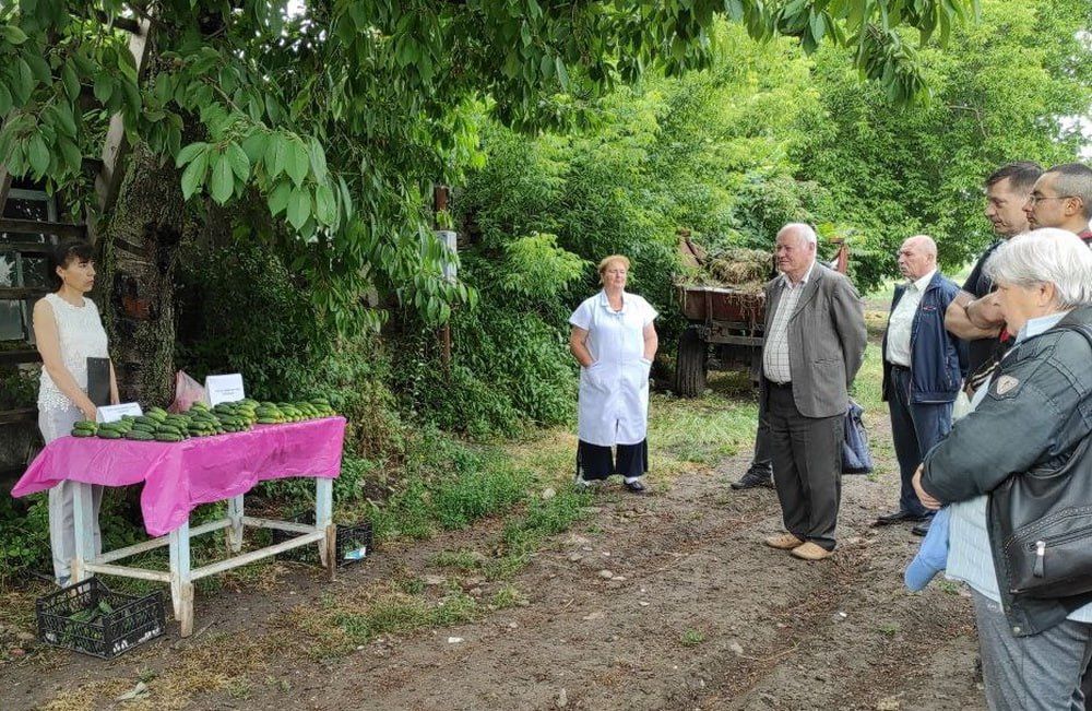 �������� ������� ������� ������