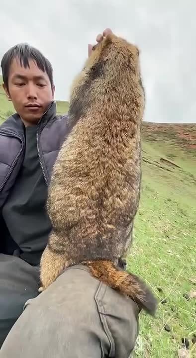 � ������, ������� �� ���������� � �������� ���������, ��� ���� ������������� ��������