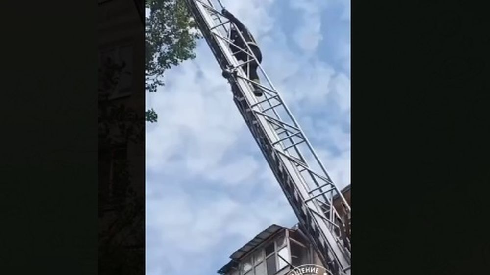 ������� �� ������ �����: � ��������� �������� ����� � �������� ������ ����, ������� ���������� ��� ����� ����