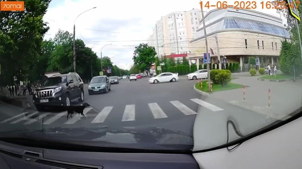 ������ � �������� ��������� ���