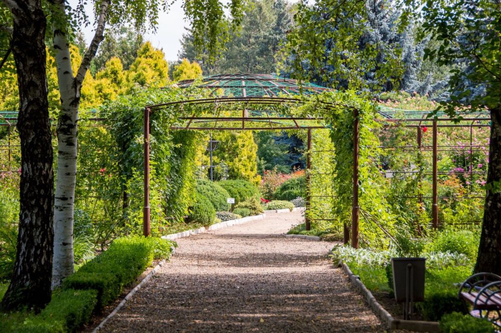 ���������� � ���������� ���� ����������� ����������