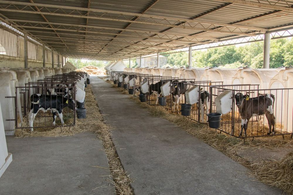 � ���� �������� ����������� ����� �������������� ��������� ���������