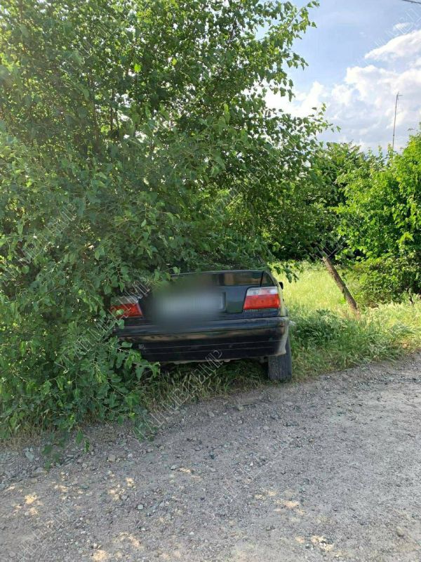 �������� ���» ���� �������