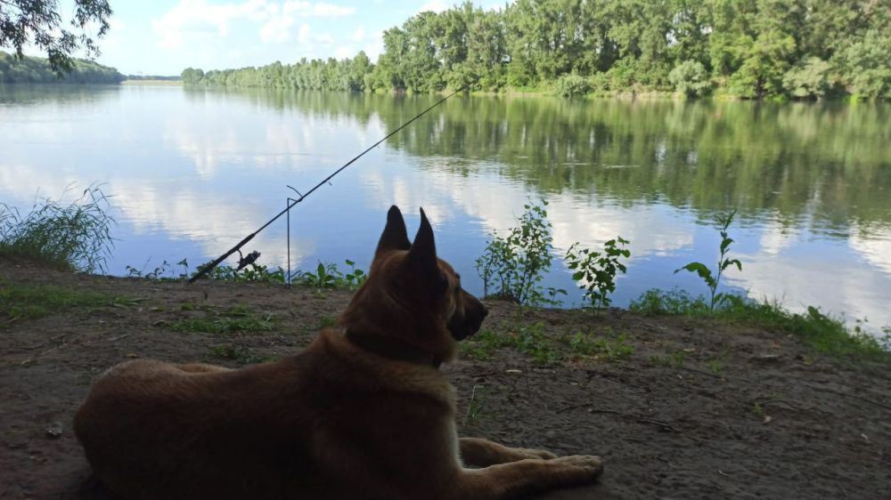 ���������� ������ � ��! ������� �� �������!