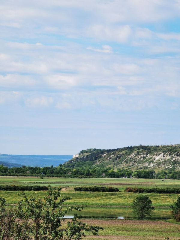 ��� ��������� ���� ���, ��������