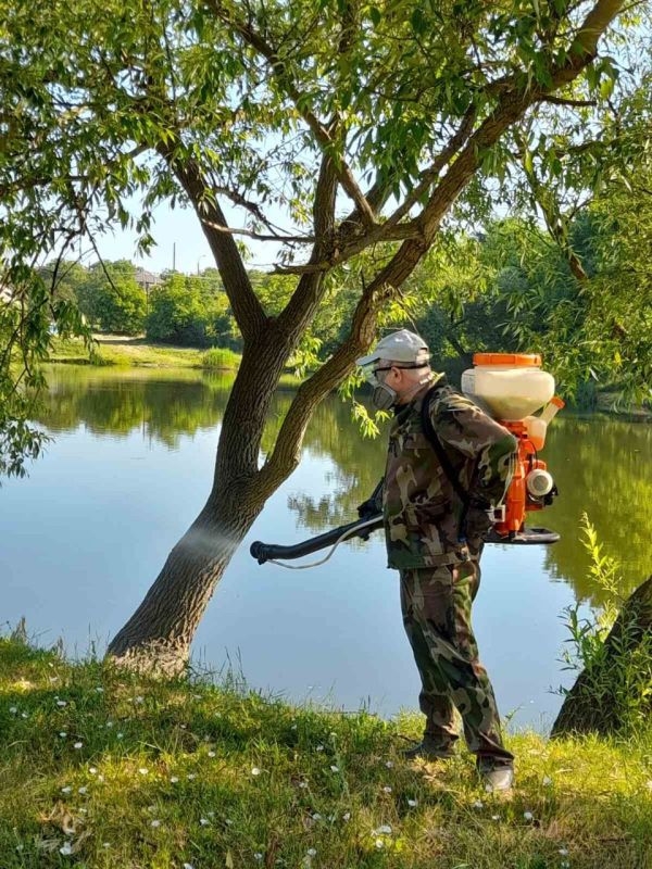 � ��������� ������ ������� ������ � ������� � ������ � �������, � ����� ����� ������ �������, �������� ������� ����������������