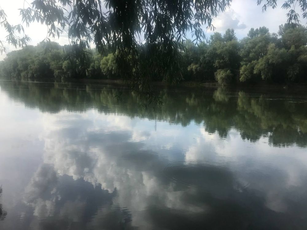 17 ���� ��������� ���������� ����������, ��� �������