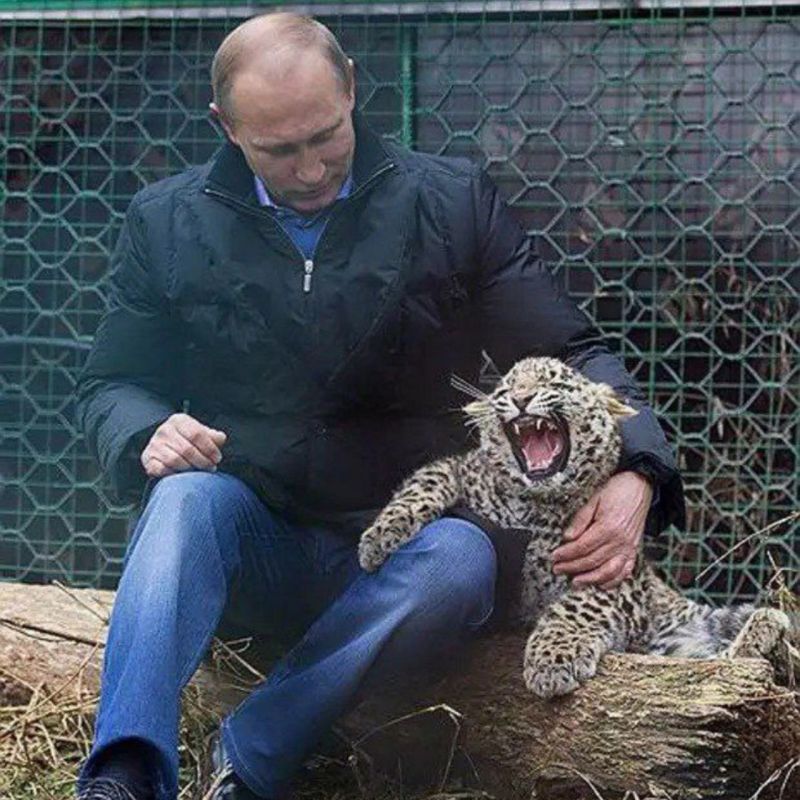 ����� ���� � ���� ��������