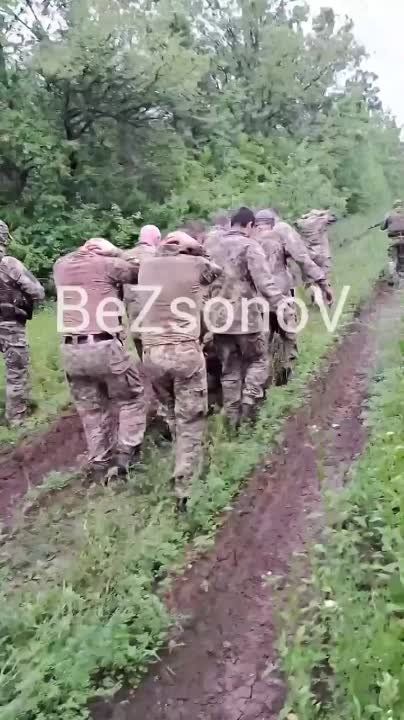 ����� �� ���������� ����������� � ������ �������������� � ���� ������� �� 20 ������������� 5 ���� 2 ��������� 28 "��������" ��������� ���������� ���