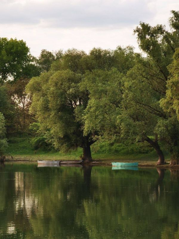 ��������� �������. ���� ������ �������