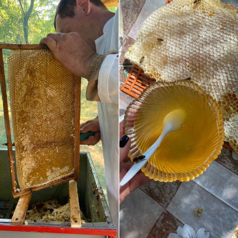 �� ������ � ���� ����������� ������ ������ ��. ��� ������� �����������