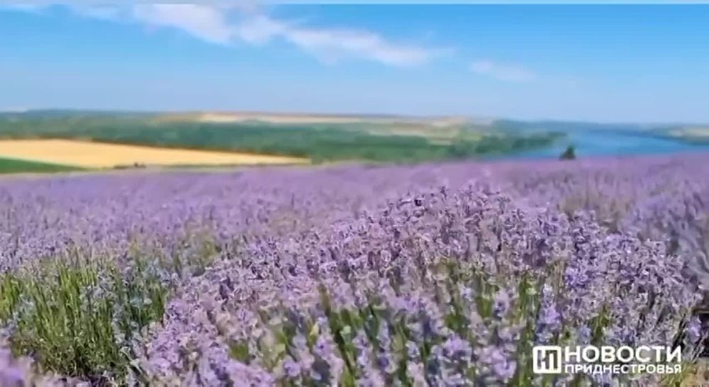 � ������������ ������ ��������� � ����������� ���������