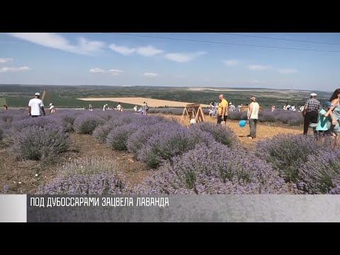 � ������ ������� �������. ��� � ������ ����. ����� ��������� � ������-�������� � ����������. ��������� � � ������