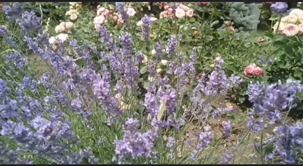 ������� ������ ������� � �����