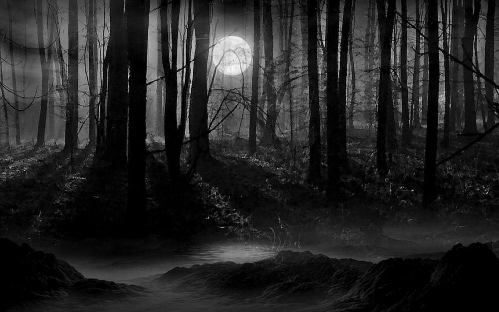 ����� ���������� ����� ������� ������� � ��������� ���������� ������� � ����������� �������