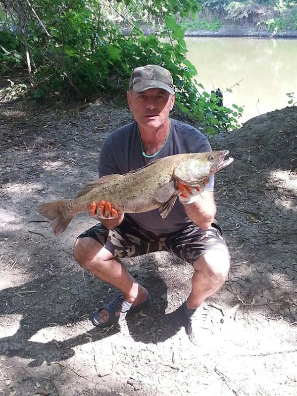 ����� ������������ �� ������� - ���������� ���������� ������