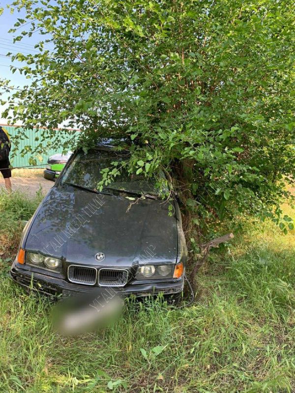 ������ � ��� ���� �������� ���» ���� �������