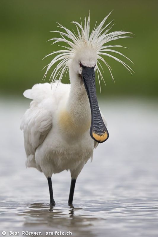 ������� ���������� ������������ � ������ � ���������� �������������� ������������� ����� � �����, �������� � ������� ����� ���