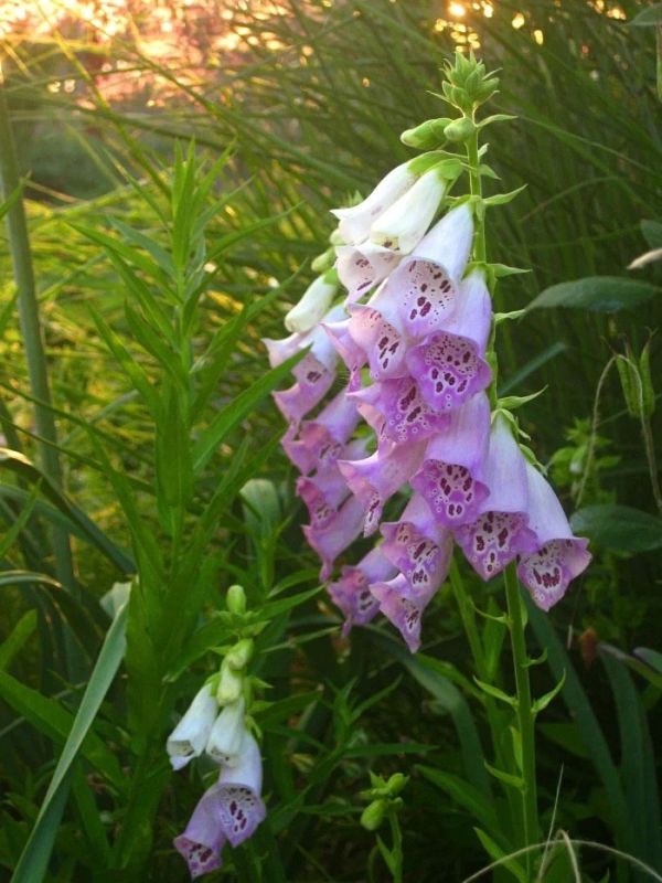 ����� ���� ����� ���������� ������������ � �� ���� ����� ���������� ����� � ������