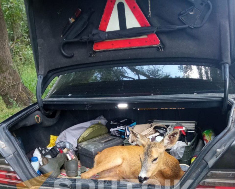 � ��������� ��������� � ������� �������������� ������� ������