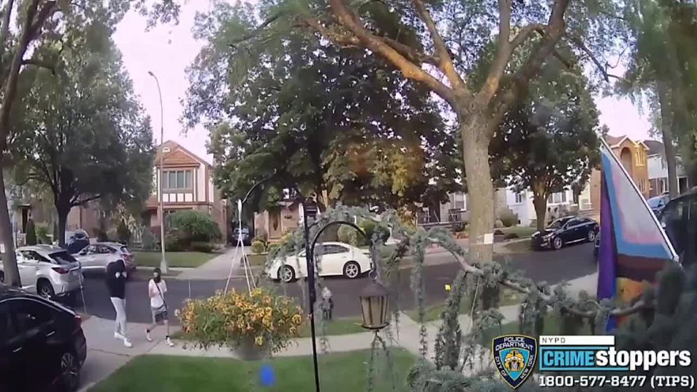 ������� ���-����� �������� � ������ � ��������� ������ � ������ ���� ����������, ������� ������� �������� ���� � �������� ����