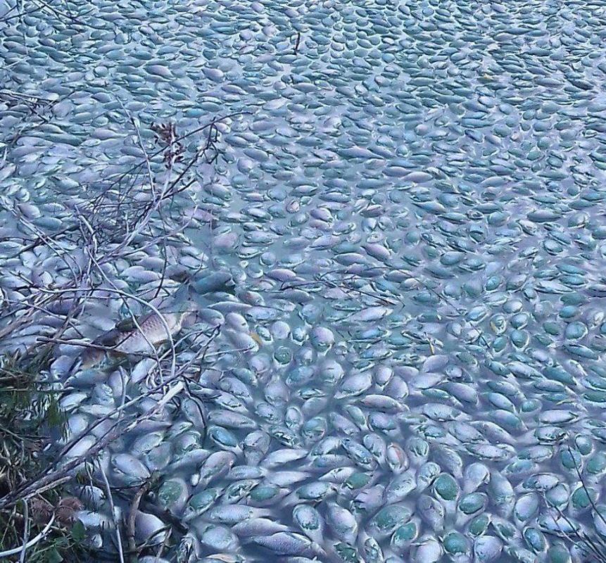 �������� ��� ����. ���� ����������, ���������� �������. ����� ������� ��������� ��� ������������� �������� � ���������� ������� ���������� � ������ ����