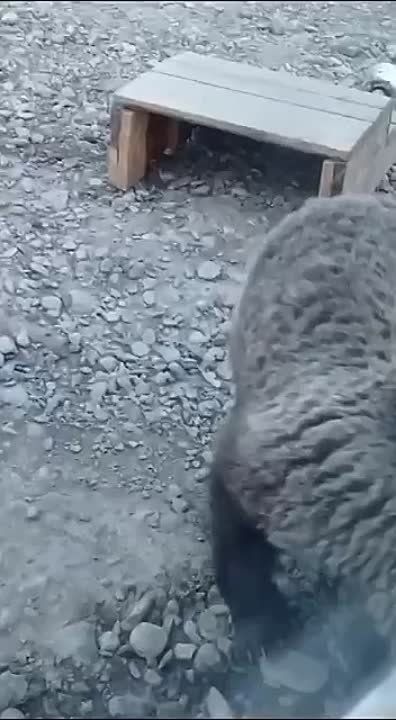 ���� ����� ������ ����� �� ������� � ������