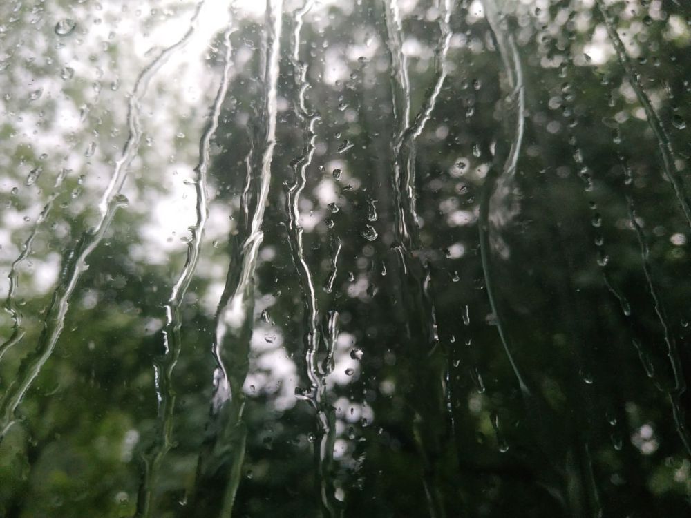 ������� ������. �������, 19 ����, ��������� �������� ������, ������� ��������������� �����, �������� �����