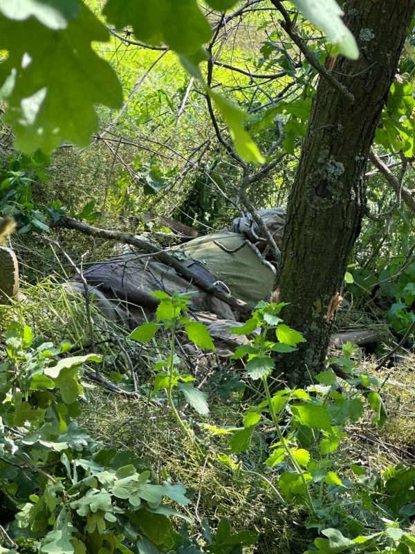 ��������� ��� 37-� ��������� �������������� ������� �� ������ � 37-� ��������� ������� ������� ������ ��� ������� ��� ��������� ������� ��������� � ����������� �������