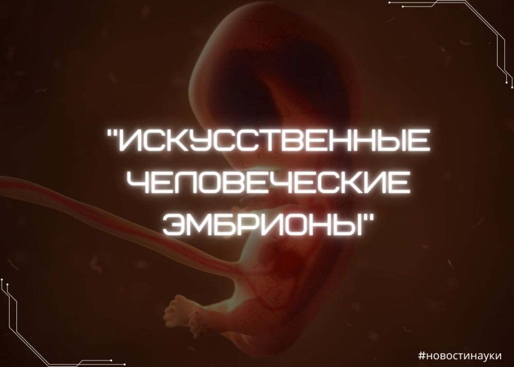 ������� ������ ������������� ������������ �������� �� ��������� ������