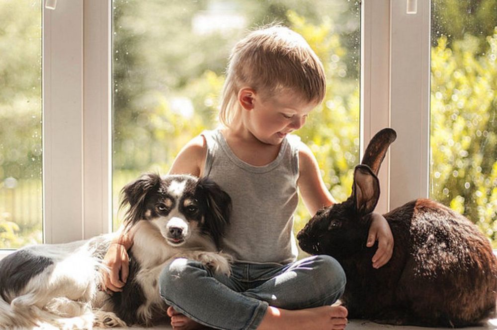 �� ������� �������� ������� ����� ��������� ����� 600 ����� �� ���� ���������� ����������