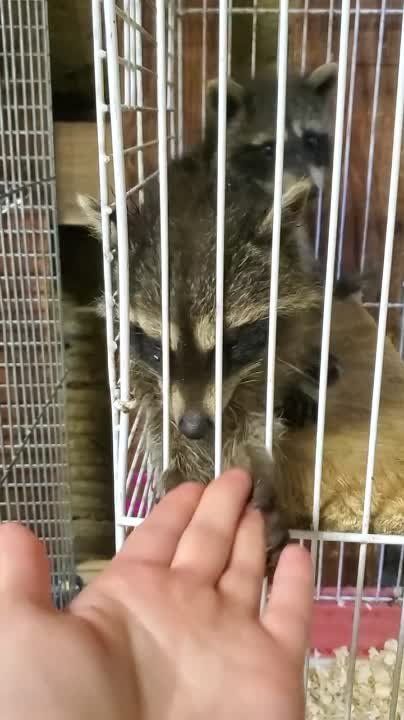 ������ ����� � �����-����� ����� �����, ��� ������� �� ���������