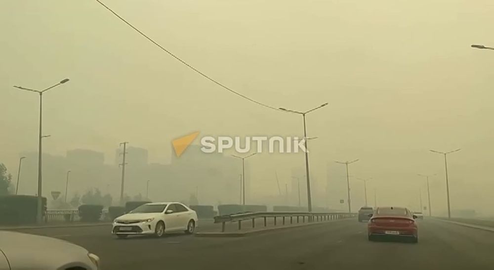 ������ ������������ � �����-�������