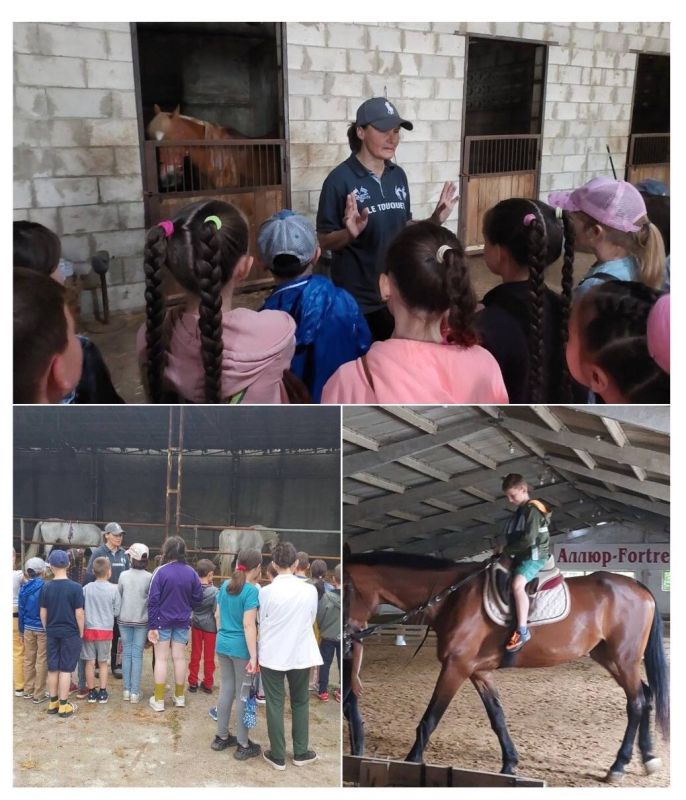 ������� ������ �� ������� ������ ������ ����� �������� ������ ���� "�����"