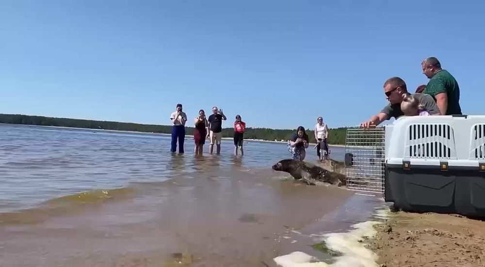 ������� �������, ����� � ��������� ��������� � ���������� ���� ����� ������������