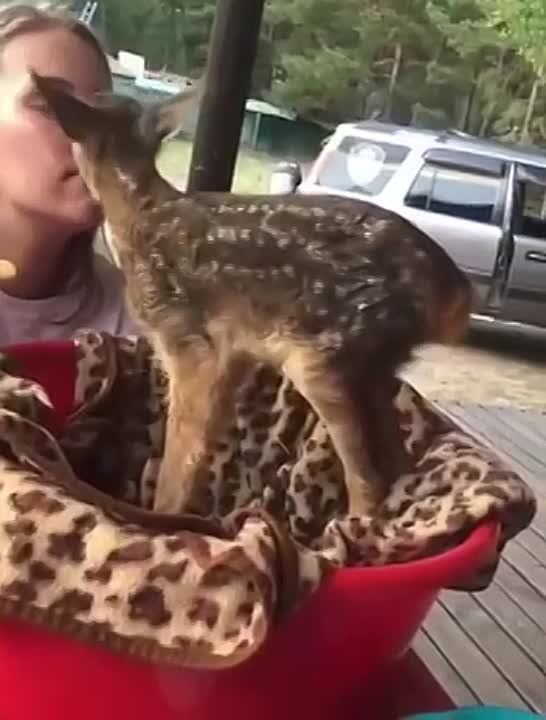 �������� ����� � ����� � ��������� ����