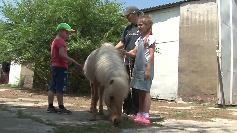 �������, ������ � ����� ������ ����������