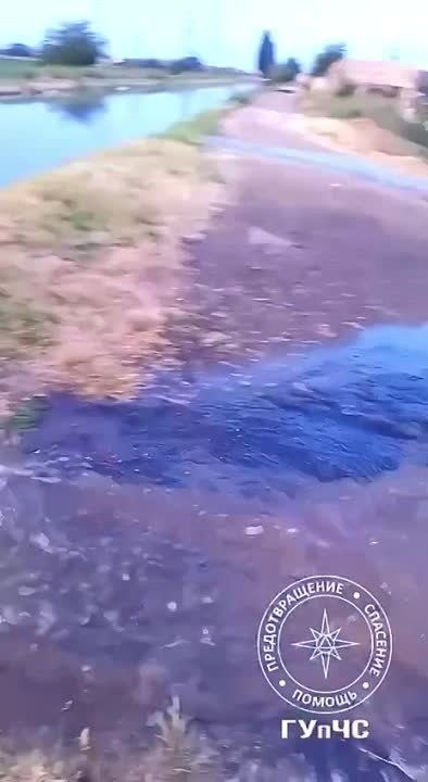 ����������� ������ ���������