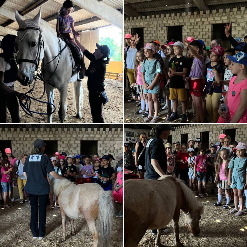 ����� ���� � �����-���������� ����� ����� �������� ��������� ��� ����� �� ����� �������������