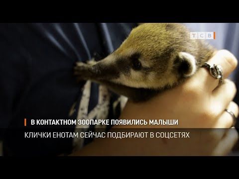 � ��������� ���������� �������� ��������� ������. �������, ����� � ��������� ��������� �������. ��� �������� ��-�� �������. ����������� ���� �� ��������� �� �������, �� �� ���� ������ ���������� ������ ��������, ����� �������� ������ ��������