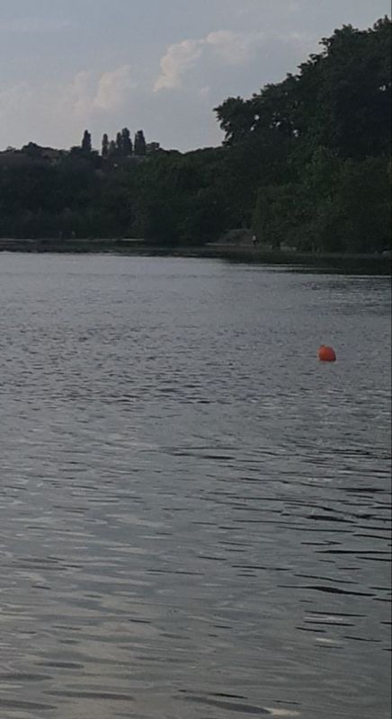 ������������ ���� - ��� ���������