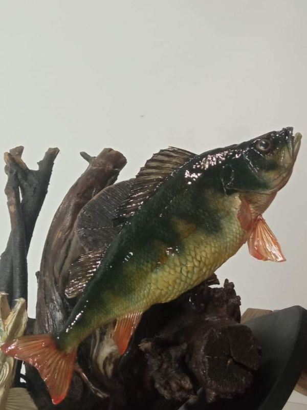 ����� ���������. ������� ������� ��������� ����������� "�������" ������� ��������� �������� �������� ���������� � ������, ������� ������� � ���, �������� ��� ������