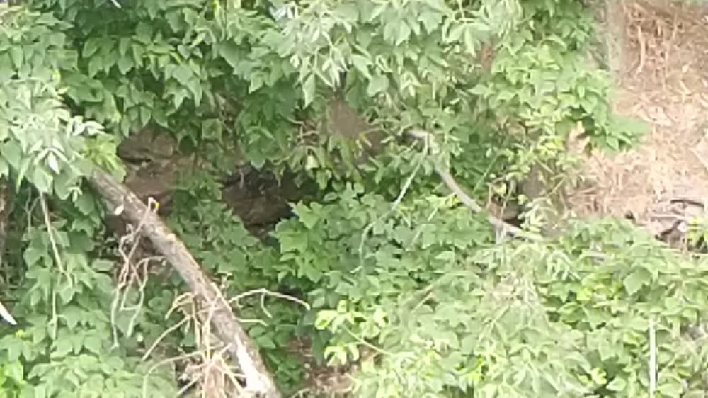 ����� ����� �� ������ � ����� �������� ������