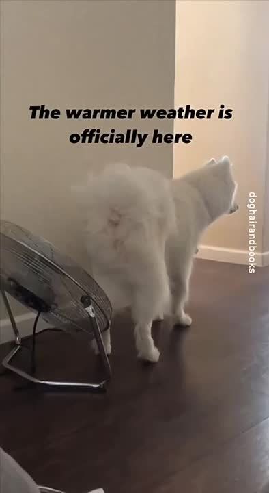 ������� ����� ��� ����� �����