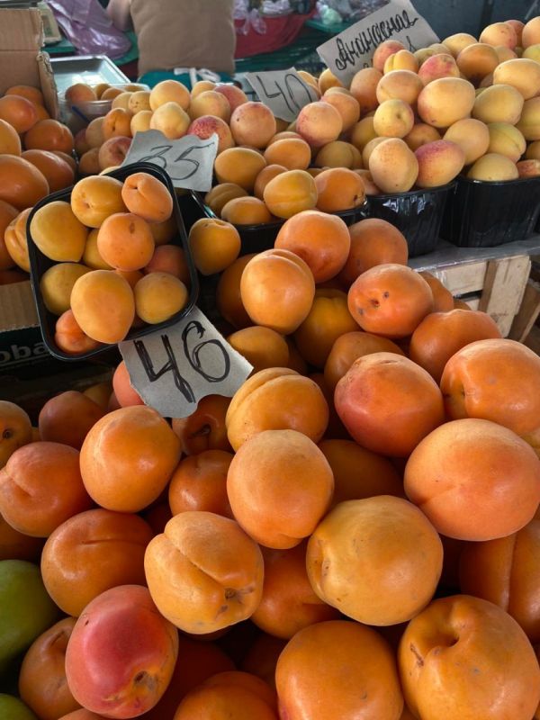 ����� ������ ������� �������� �� 35 � 40 ������ �� ��, ������� �� 46