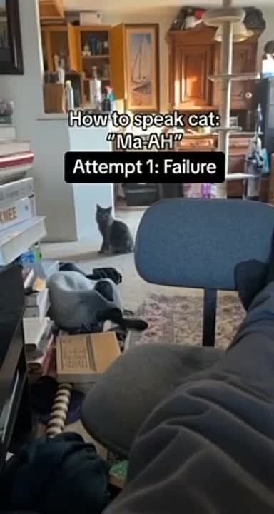 ������� ����� ��������� ����