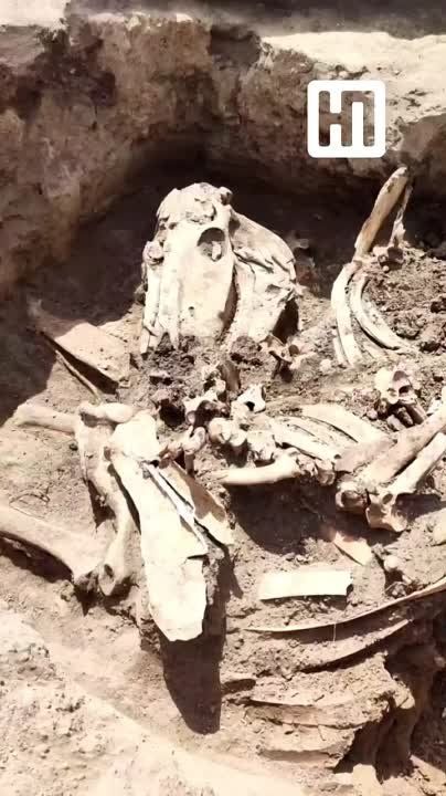 ��� ����� ������� �������. �����������, ��������� � ����� �� �������� ����������������� ������, ������������ ����������� ...