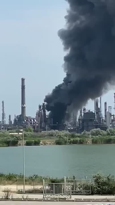 ����� ��������������������� ����� Petromidia � �������� � ��������� ���������