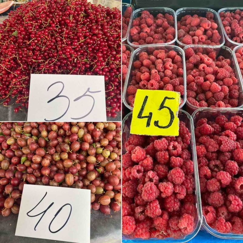 ������� �� ������ �����. ��������� ������, ��������� � ���������. ������� ����� �� 35 � 45, ������ ��� ������ ������