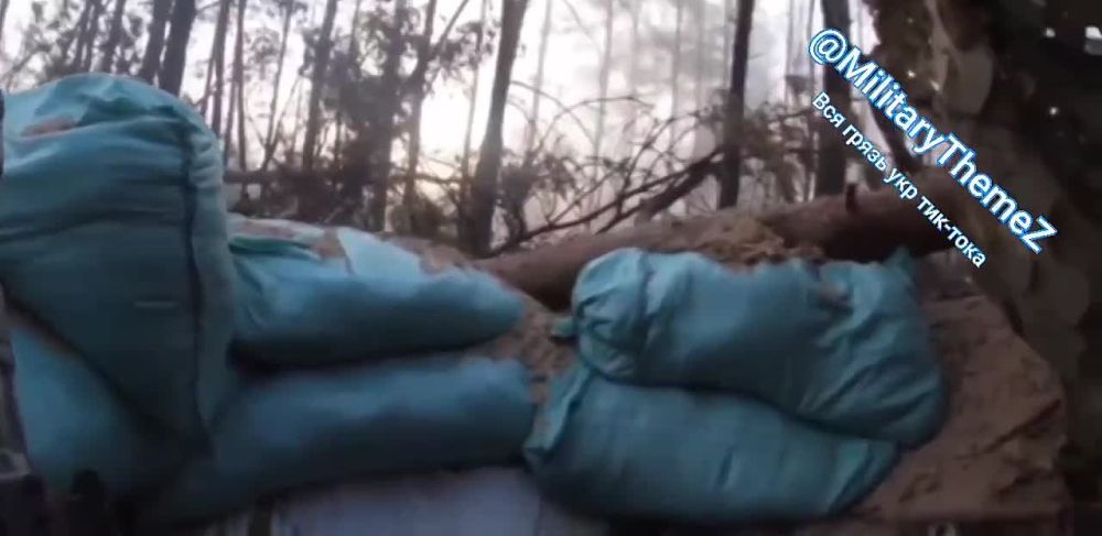 ��� �������� �������� ����� �� ��